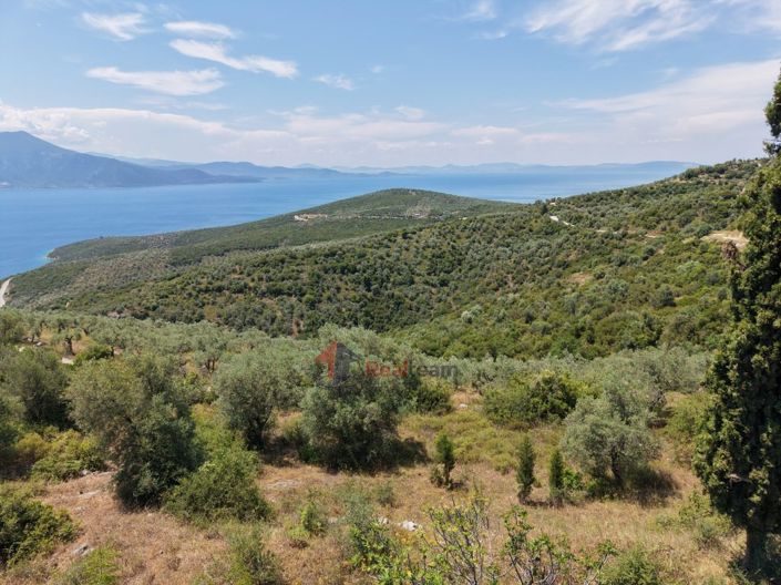 Image No.19-Property for sale