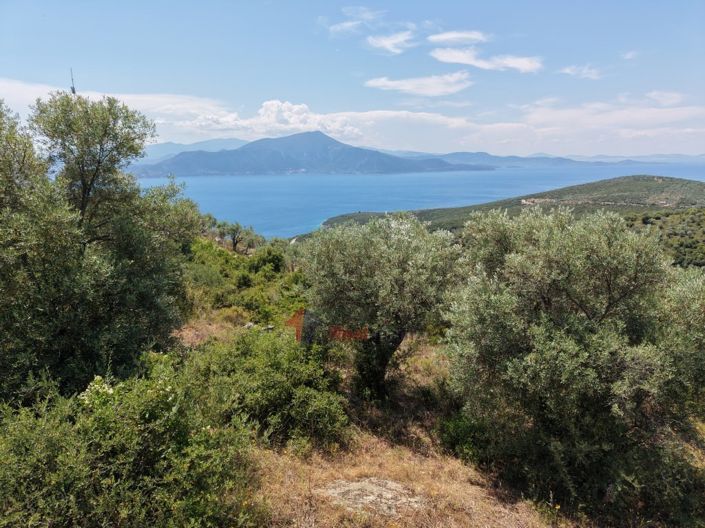 Image No.20-Property for sale