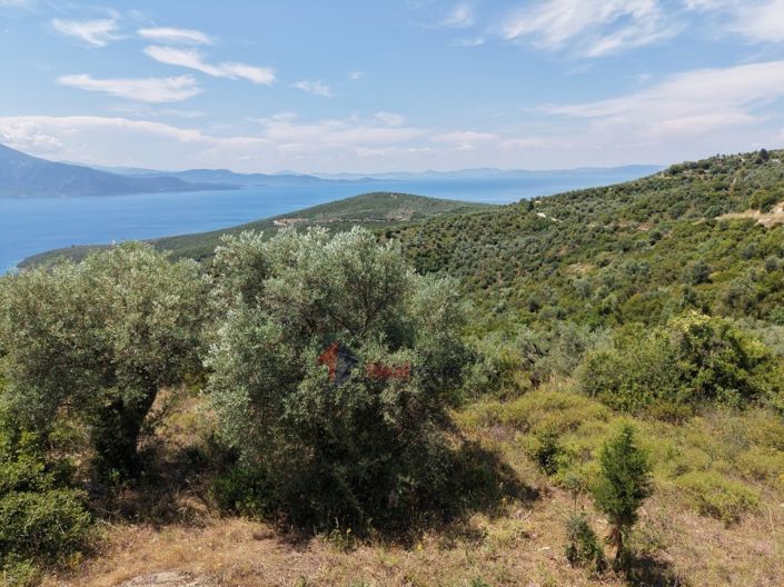 Image No.21-Property for sale