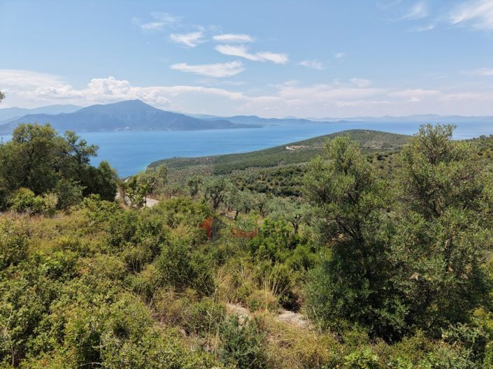 Image No.23-Property for sale