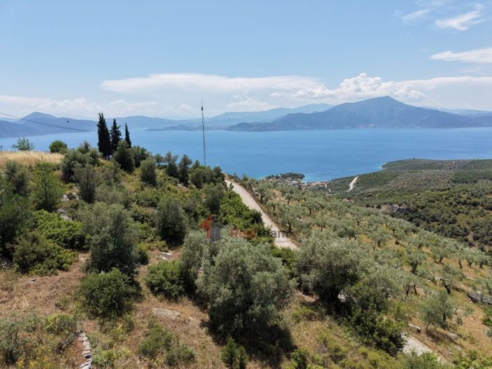 Image No.26-Property for sale