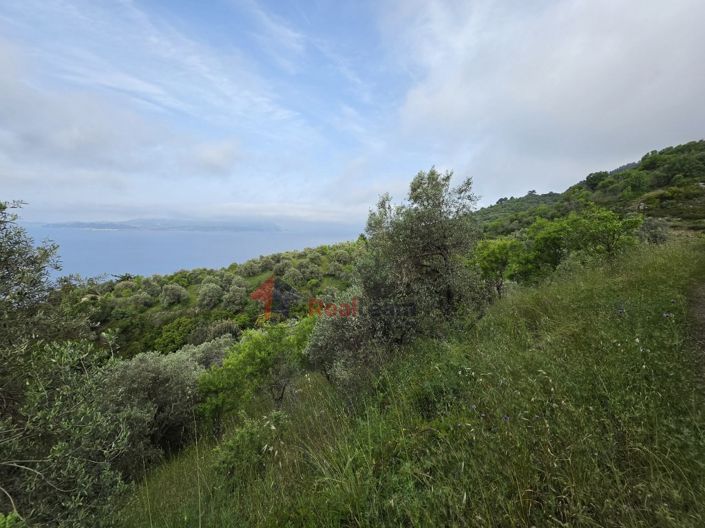 Image No.14-Propriété à vendre à Glossa