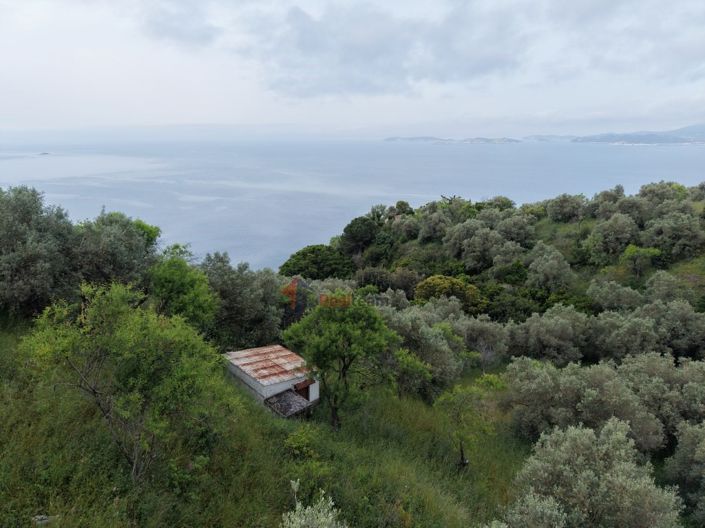 Image No.2-Propriété à vendre à Glossa