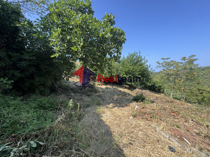 Image No.18-Property for sale