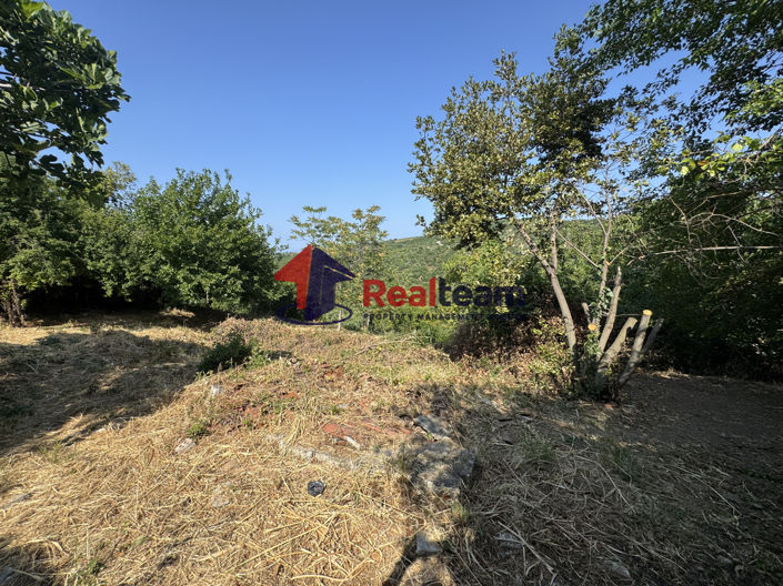 Image No.19-Property for sale