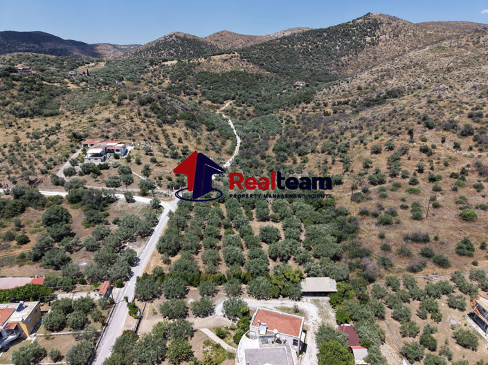 Image No.19-Property for sale