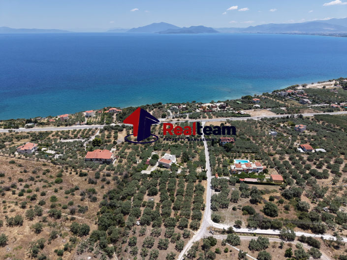 Image No.23-Property for sale
