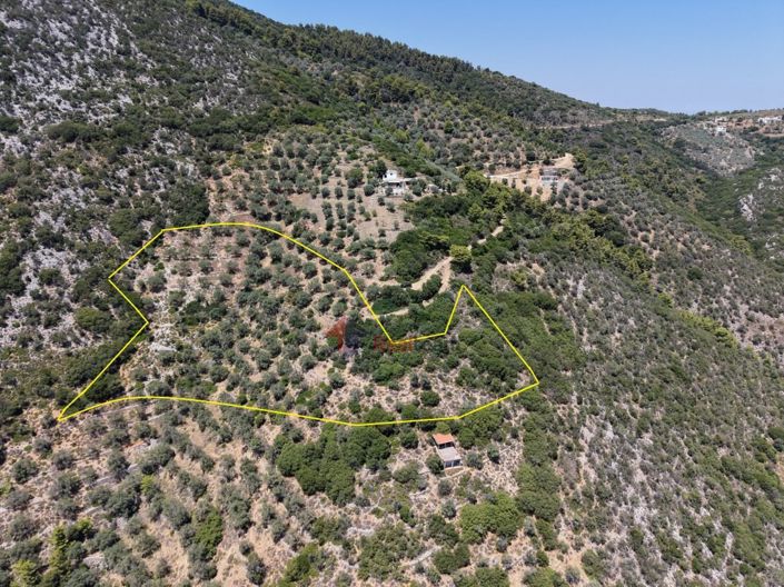 Image No.16-Property for sale