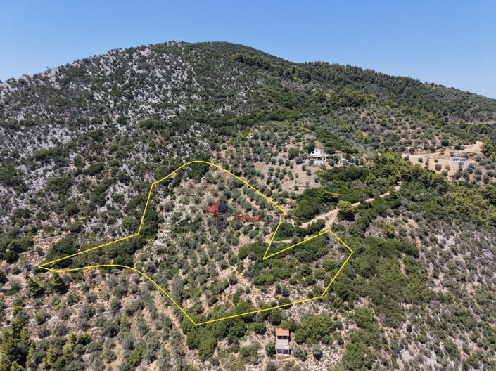 Image No.18-Property for sale