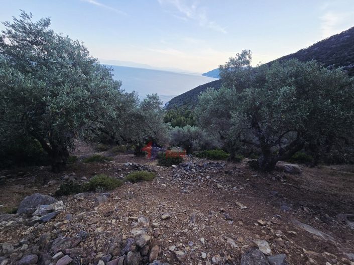 Image No.2-Property for sale
