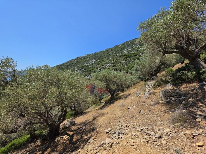 Image No.22-Property for sale
