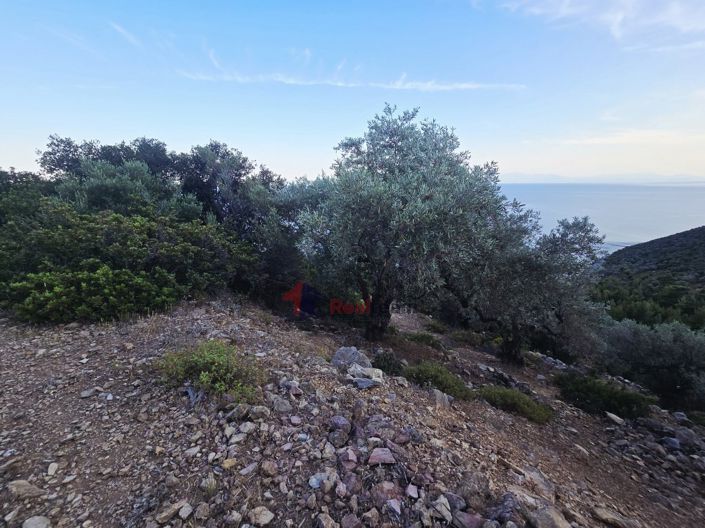Image No.3-Property for sale