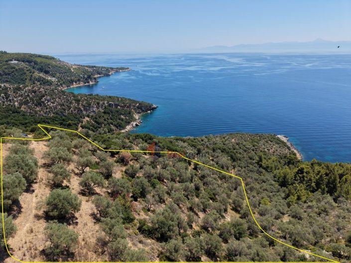 Image No.5-Property for sale