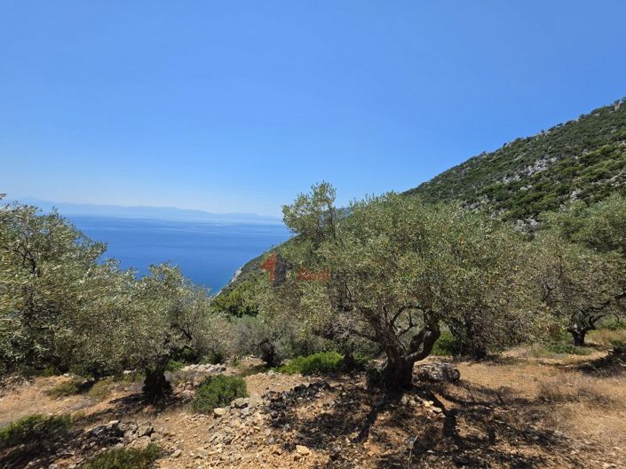 Image No.8-Property for sale
