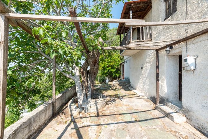 Image No.40-Propriété de 3 chambres à vendre à Makrinitsa