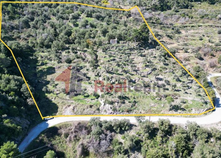 Image No.13-Property for sale