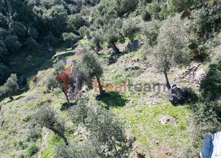 Image No.20-Property for sale