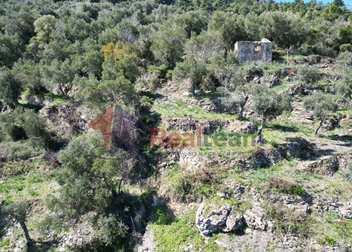 Image No.22-Property for sale