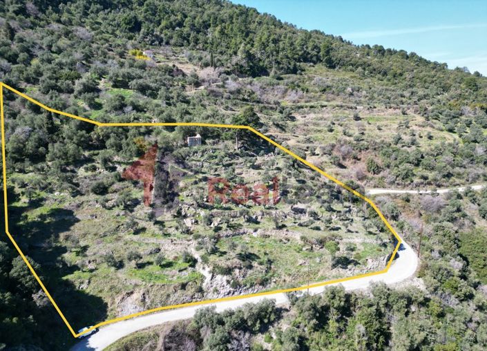 Image No.3-Property for sale