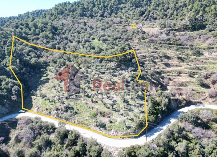 Image No.5-Property for sale