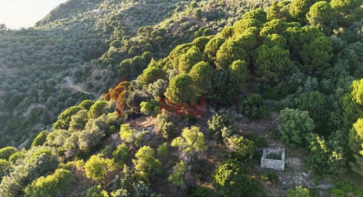 Image No.13-Property for sale