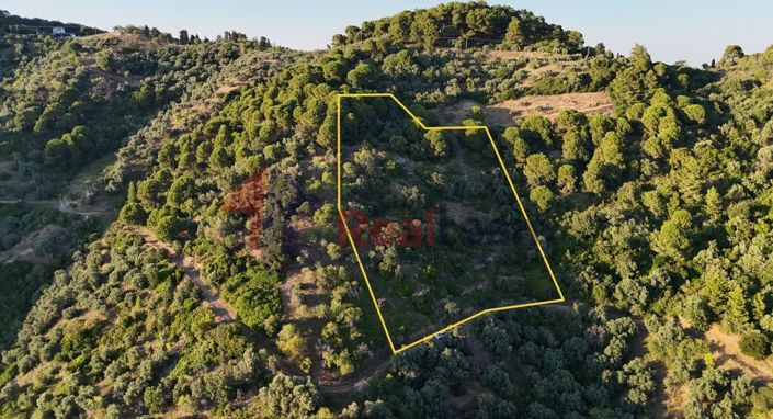 Image No.3-Property for sale