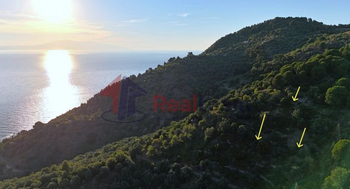 Image No.5-Property for sale