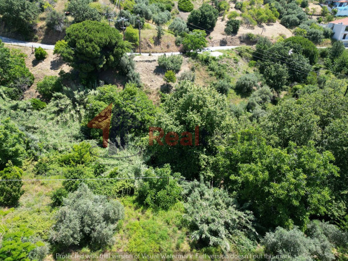 Image No.10-Property for sale