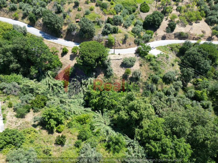 Image No.11-Property for sale