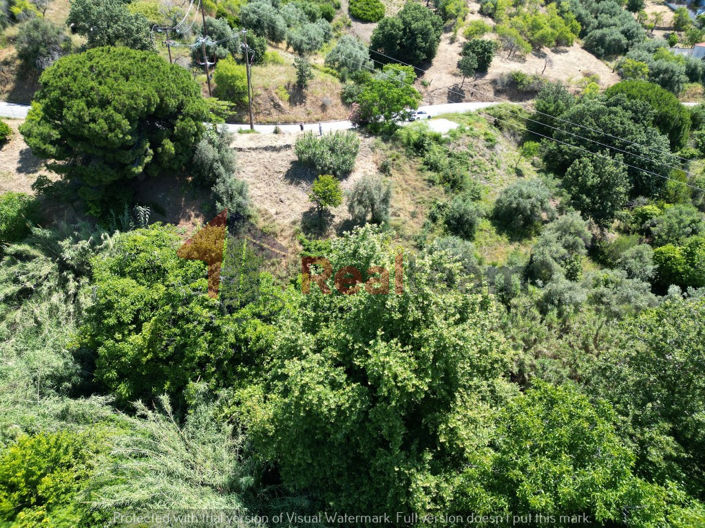 Image No.14-Property for sale