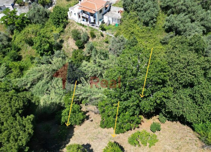 Image No.23-Property for sale