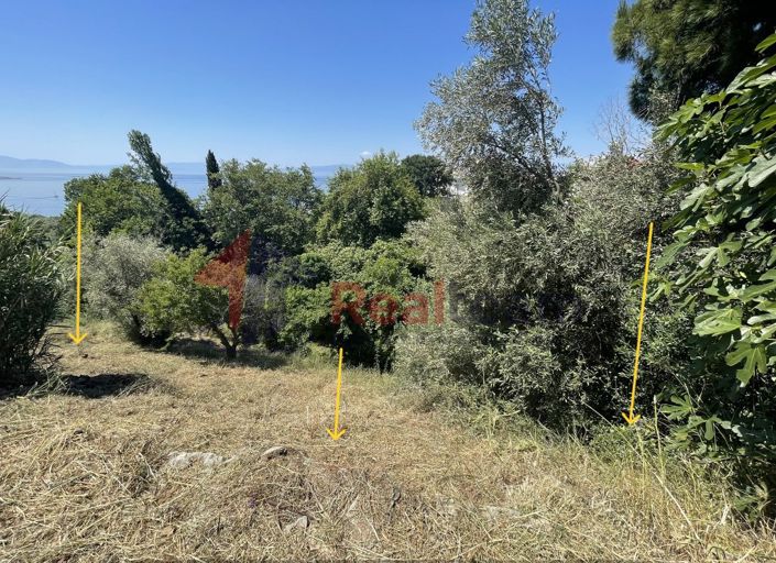 Image No.28-Property for sale