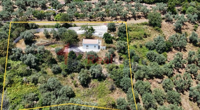 Image No.7-Property for sale