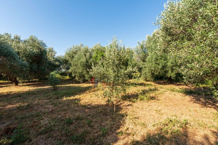 Image No.29-3 Bed Property for sale