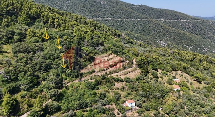Image No.10-Property for sale