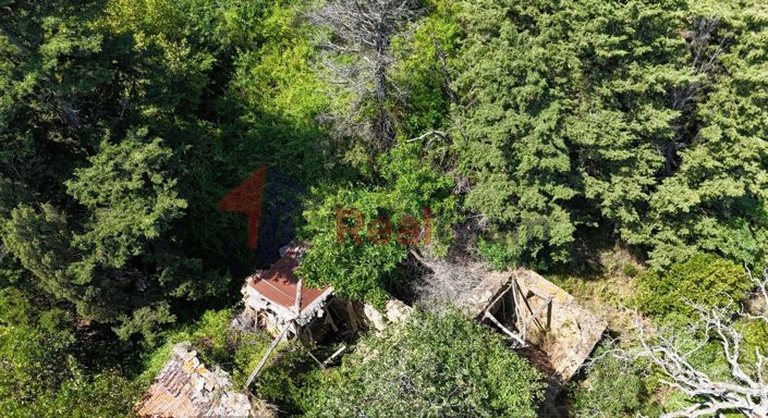 Image No.18-Property for sale