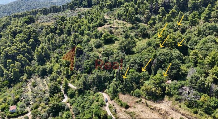 Image No.6-Property for sale