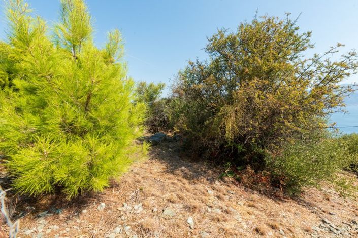 Image No.9-Property for sale
