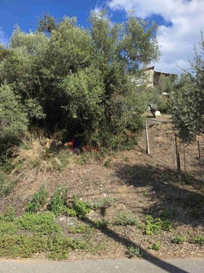 Image No.2-Property for sale