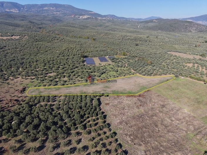 Image No.3-Property for sale