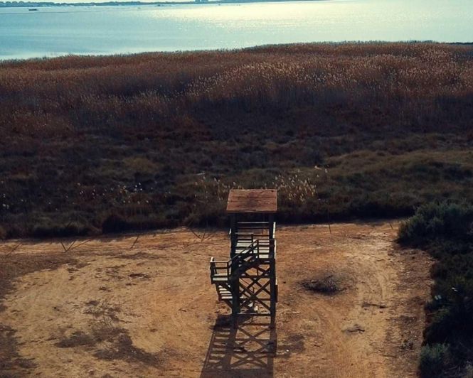 Image No.11-Villa de 3 chambres à vendre à Los Montesinos