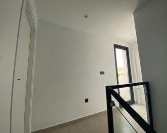 1138306lg
