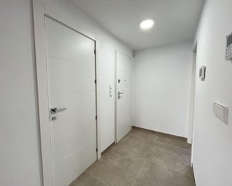 1178404lg