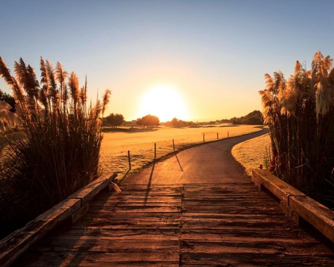 Image No.26-Villa de 3 chambres à vendre à Pilar de la Horadada