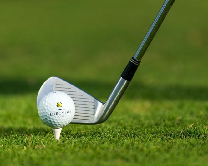 Image No.30-Villa de 3 chambres à vendre à Pilar de la Horadada