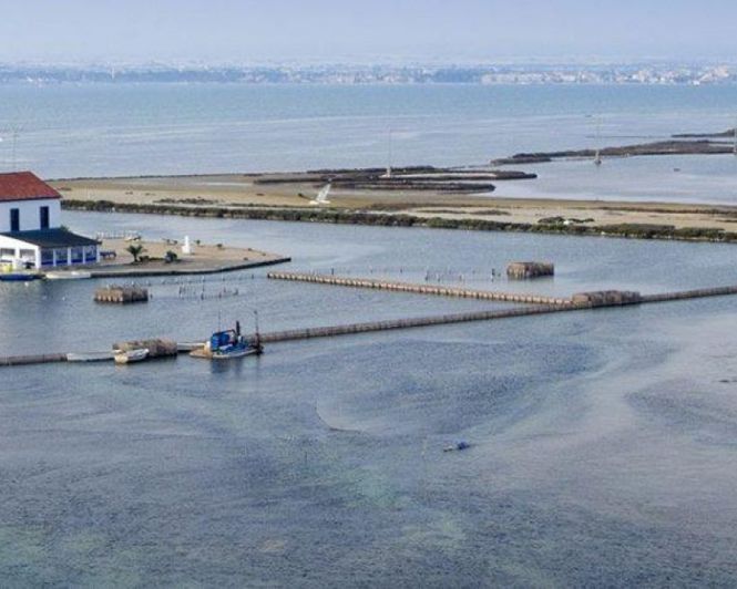 Image No.9-Villa de 3 chambres à vendre à San Pedro del Pinatar