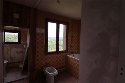 1687155722vm631912original