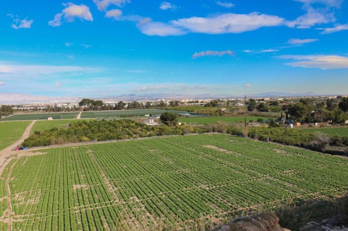 Image No.16-Appartement de 1 chambre à vendre à Algorfa