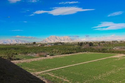 apartment-for-sale-in-algorfa-es179-179469-3