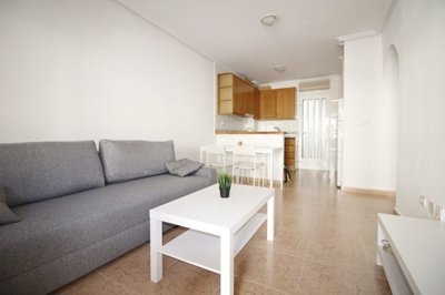 apartment-in-playa-flamenca-4-large
